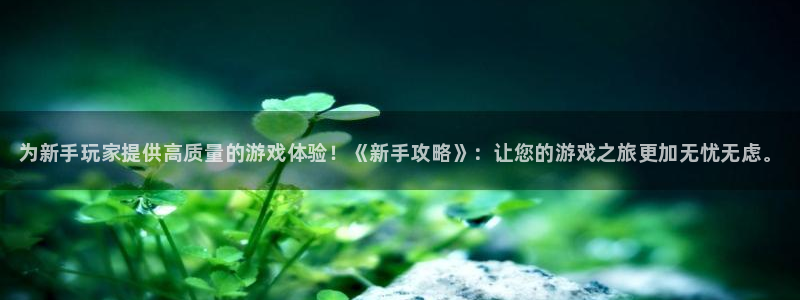 杜邦娱乐注册地址：为新手玩家提供高质量的游戏体验！《新手攻略