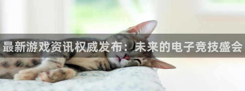 杜邦娱乐平台负责人：最新游戏资讯权威发布：未来的电子竞技盛会