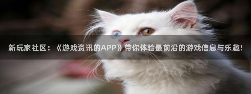 杜邦娱乐注册平台：新玩家社区：《游戏资讯的APP》带你体验最