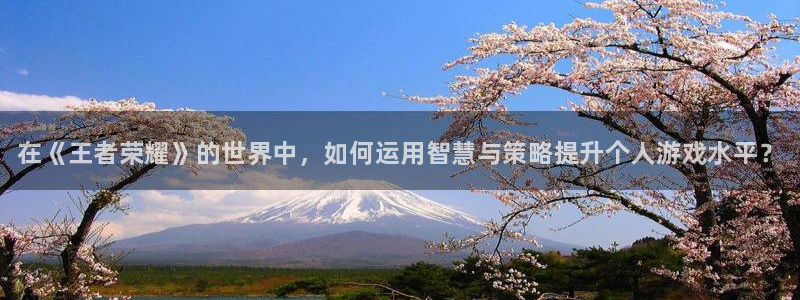 杜邦娱乐游戏