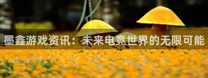 杜邦娱乐app下载|下载地址：墨鑫游戏资讯：未来电竞世界的无