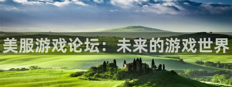 杜邦娱乐登录网址：美服游戏论坛：未来的游戏世界