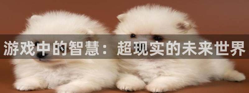杜邦娱乐测速登陆：游戏中的智慧：超现实的未来世界
