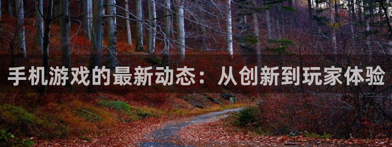 杜邦娱乐4主管：手机游戏的最新动态：从创新到玩家体验