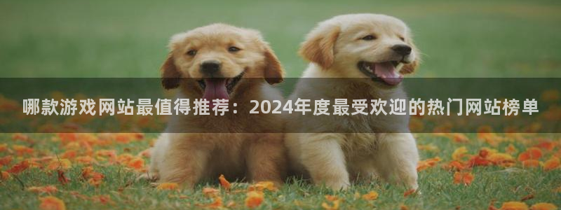 杜邦娱乐注册测速：哪款游戏网站最值得推荐：2024年度最受欢